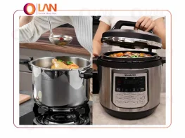 مقایسه زودپز روگازی روگن RU-6030 و زودپز برقی ناسا NS-3073