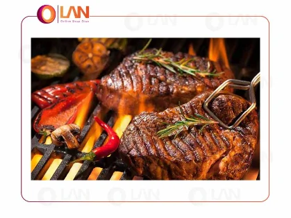 کاربرد ساندویچ ساز و صفحه گریل
