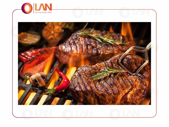 کاربرد ساندویچ ساز و صفحه گریل