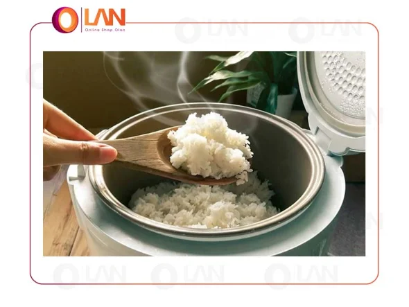یک پلوپز مناسب باید چه خصوصیاتی داشته باشد؟