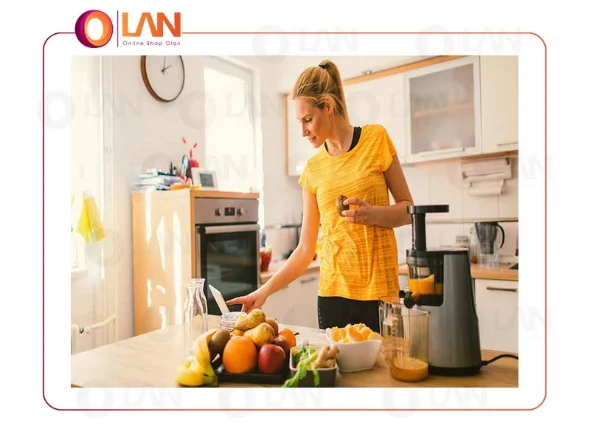 چند مدل از آبمیوه گیری های برند روگن