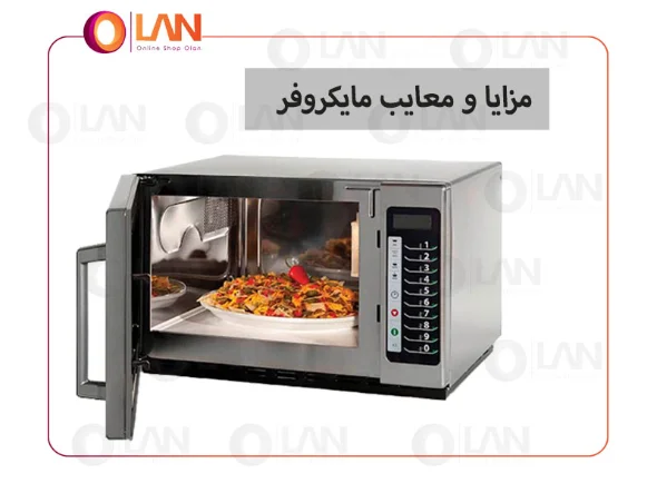 مزایا و معایب مایکروفر